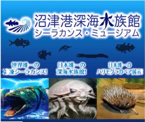 沼津港深海水族館