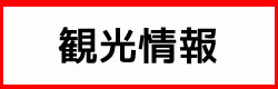 観光情報