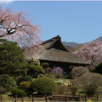 秩父宮記念公園