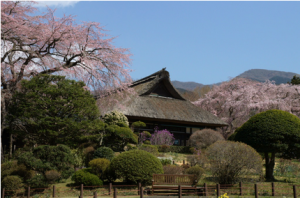 秩父宮記念公園